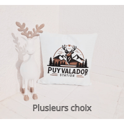Coussin Puyvalador station